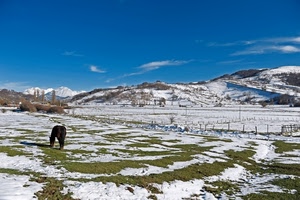 cavallo, neve, montagna, inverno, prato, erba, montagne, prati, pascolo, cielo, bianco
