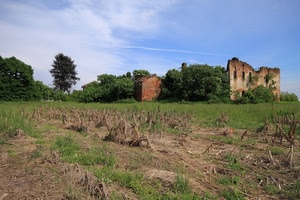 alberi, ruderi, cielo, erba, verde, prato, rovine, campo, casa, nuvole