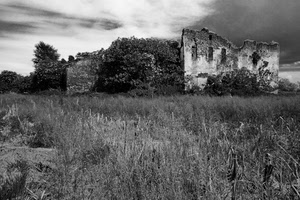 rudere, bianconero, alberi, erba, casa, campo, rovina, prato, cielo, piante