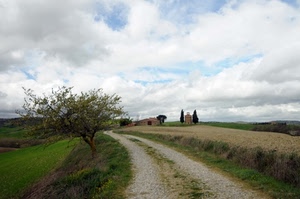 strada, albero, campagna, nuvole, cielo, campi, casa, verde, alberi