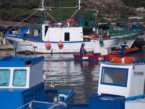 barche, porto, acqua, azzurro, bianco, mare, rosso, salvagente, boe, galleggianti, pescatore, pescherecci, peschereccio, riflessi