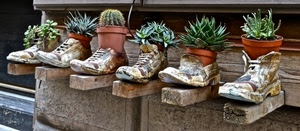 vasi, piante, scarpe, scarponi, grasse, legno, sei, travi