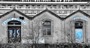 finestre, porte, finestra, palazzi, bianconero, porta, balconi, polizia, rudere, scritte, banca, case, alberi, abbandono