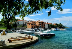 barche, porto, acqua, mare, case, borgo, albero, foglie, alberi