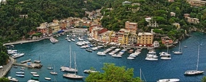 barche, porto, mare, alberi, case, portofino, panorama, paesaggio