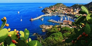 porto, mare, panorama, barche, fichi, collina, piante, molo