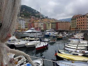 barche, porto, mare, rete, case, acqua, reti, palazzi