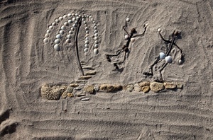 sabbia, conchiglie, disegno, palma, disegni, albero, mare, pietre, sassi, figure