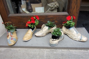 scarpe, fiori, rosso, piante, verde, vetrina, foglie, vasi, negozio