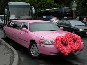rosa, fiori, cuori, automobile, autobus, traffico, auto, matrimonio