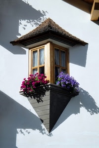 fiori, ombre, finestra, finestre, vasi, bianco, viola, balcone