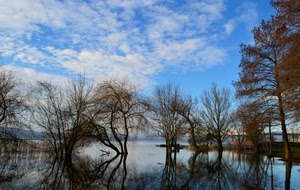 alberi, acqua, lago, cielo, nuvole, riflessi, riflesso