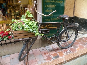 bicicletta, vetrina, fiori, cassetta, manubrio, piante, insegna, marciapiede, negozio, verde, ruote, sellino, rosso, bici, portapacchi, strada
