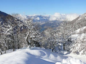 neve, alberi, inverno, montagne, montagna, bianco, nuvole, panorama
