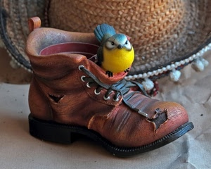 uccello, scarpa, cappello, giallo, scarpone, marrone, uccellino, lacci, rotta, vaso