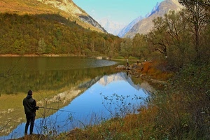 lago, riflesso, acqua, pescatore, montagne, alberi, montagna, canna, pescare, bosco