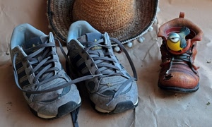 cappello, scarpe, lacci, uccello, tre, uccellino, stringhe, giallo