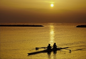 mare, tramonto, canoa, sole, remi, acqua, giallo, controluce
