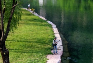 albero, pescatore, acqua, fiume, prato, erba, verde, pesca, riflessi, uomo, pescatori
