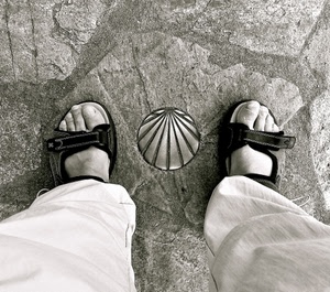 sandali, piedi, dita, conchiglia, pantaloni, scarpe, due, bianconero