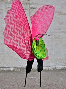 farfalla, verde, rosa, trampoli, ali, trampoliere, giocoliere, nero, rosso, costume