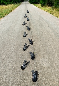 strada, scarpe, asfalto, erba, verde, fila, undici, sandali, prato, prospettiva