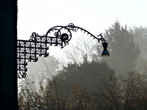 lampione, alberi, ferro, nebbia, foschia, liberty, cielo, controluce