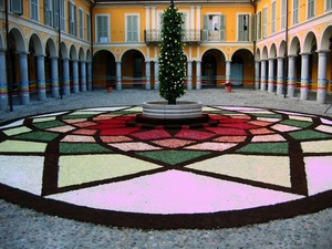 albero, colonne, portici, porticato, finestre, archi, colori, chiostro, piazza, fiori