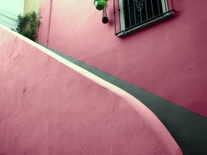 rosa, finestra, scala, grata, scale, casa, inferriata, grigio, verde, corrimano, piante