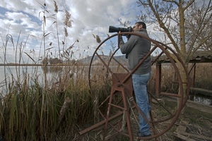 fotografo, lago, ruota, erba, nuvole, canneto, canne, obiettivo, ferro