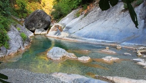 acqua, rocce, fiume, torrente, sassi, verde, cespugli, montagna, montagne, piante, alberi