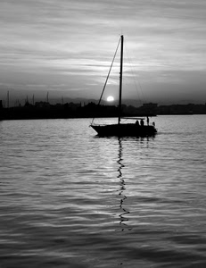 barca, sole, mare, cielo, acqua, tramonto, riflesso, nuvole, albero, controluce, bianconero, silhouette, persone, vela