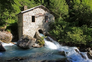 acqua, mulino, alberi, fiume, verde, cascata, casa, finestre, massi, masso, rocce, schiuma