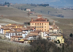 case, colline, borgo, panorama, castello, paese, alberi, paesaggio, campi, vigneti, finestre