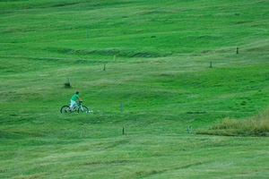 verde, erba, bicicletta, prato, ciclista, paletti, uomo, campo, bici, prati
