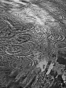 acqua, pioggia, gocce, cerchi, pozzanghera, bianconero, bagnato, onde, grigio, concentrici, riflessi