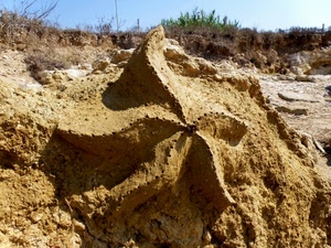 stella, sabbia, terra, forma, scultura, marina, spiaggia, erba, ocra, cielo