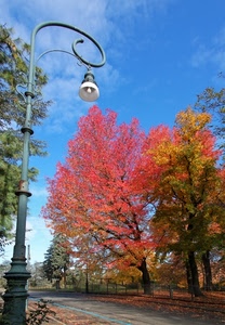 lampione, alberi, rosso, strada, cielo, autunno, foglie, albero, viale