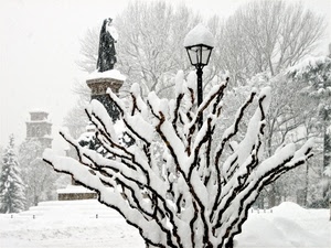 neve, lampione, inverno, bianco, rami, albero, monumento, statua, torre, bianconero
