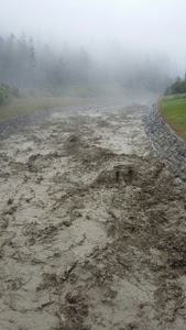 nebbia, fiume, alberi, acqua, verde, torrente, onde, prato, fango, terra, piena, foschia