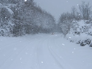 neve, alberi, inverno, strada, auto, bianco, fiocchi, freddo, macchina