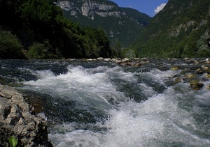 fiume, acqua, montagna, montagne, torrente, verde, rapide, spuma, sassi, rocce, schiuma, alberi, cascata