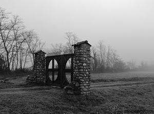 cancello, bianconero, nebbia, alberi, strada, colonne, pietre, campagna, foschia