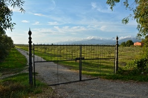 cancello, strada, prato, cielo, campo, verde, sterrato, montagne, erba, campagna, ferro