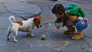 cane, bambina, pallina, verde, palla, strada, borsa, gioco, borsetta