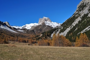 neve, alberi, montagna, montagne, prato, cielo, panorama, bosco
