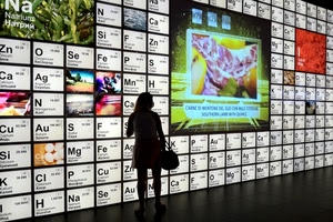 donna, scritte, lettere, rosso, nero, borsa, bianco, rettangoli, chimica, pubblicità, elementi, silhouette, colori, persona, controluce, caselle, simboli, quadrati, geometrie