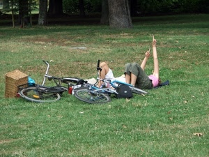 prato, biciclette, cestino, alberi, erba, persone, cesto