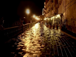 lampioni, luci, notte, riflessi, balaustra, case, vasi, strada, piante, notturno, persone, parapetto, pavimento, riflesso, finestre, bagnato, pavimentazione