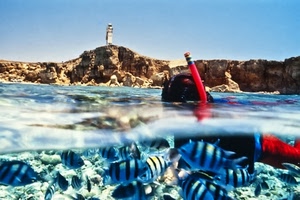 pesci, mare, sub, acqua, rosso, trasparenze, colori, scogli, faro